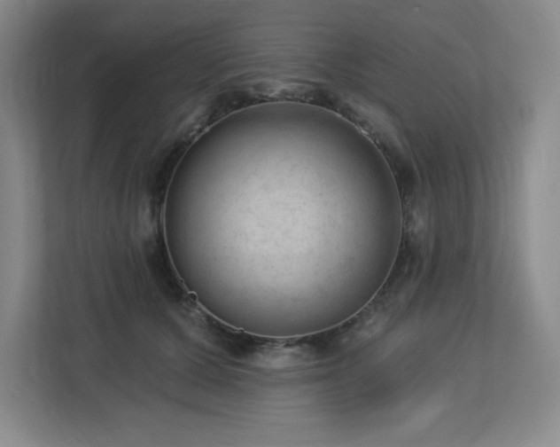 X0000112740607200908201348