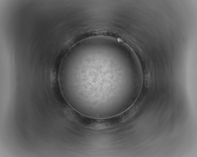 X0000112740608200908201348