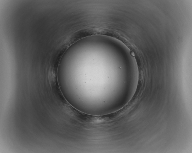 X0000112740613200908201348