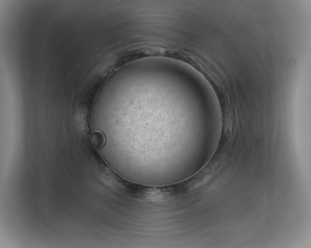 X0000112740616200908201348