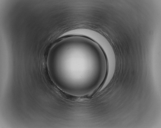 X0000112740617200908201348