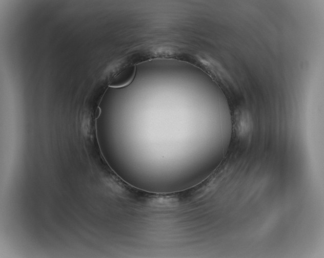 X0000112740619200908201348