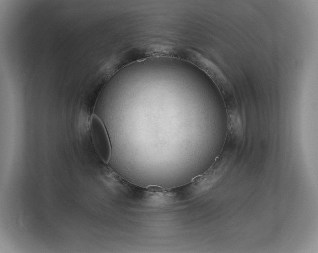 X0000112740621200908201347