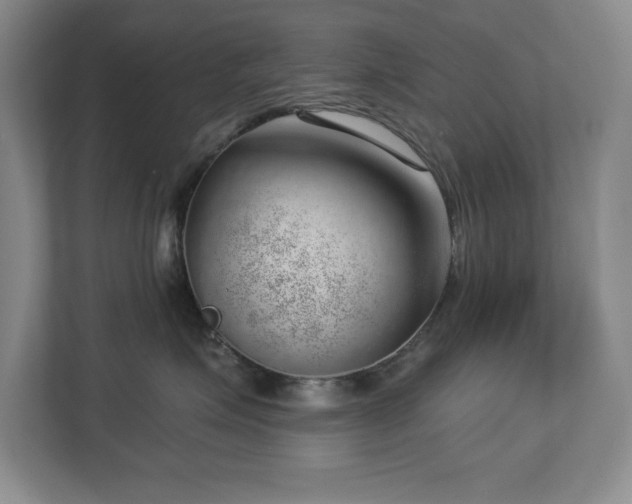 X0000112740623200908201347