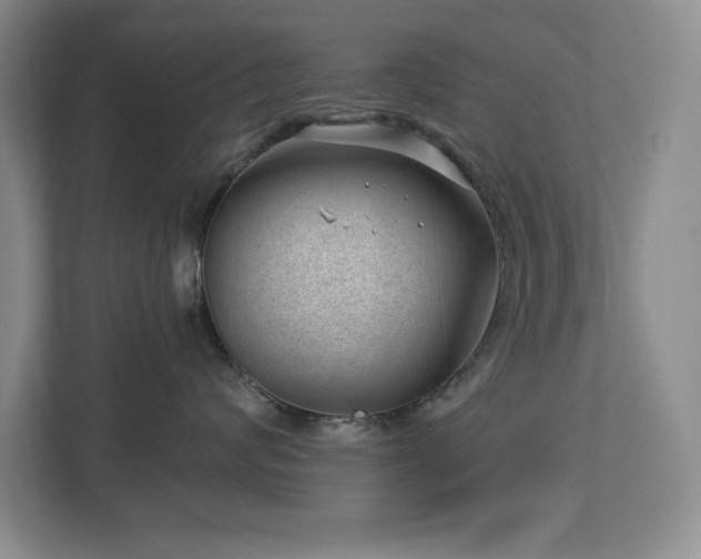 X0000112740624200908201347