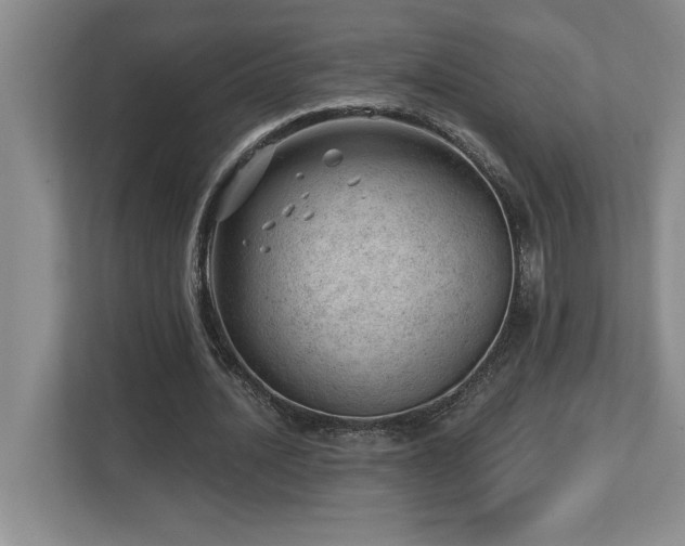 X0000112740628200908201347