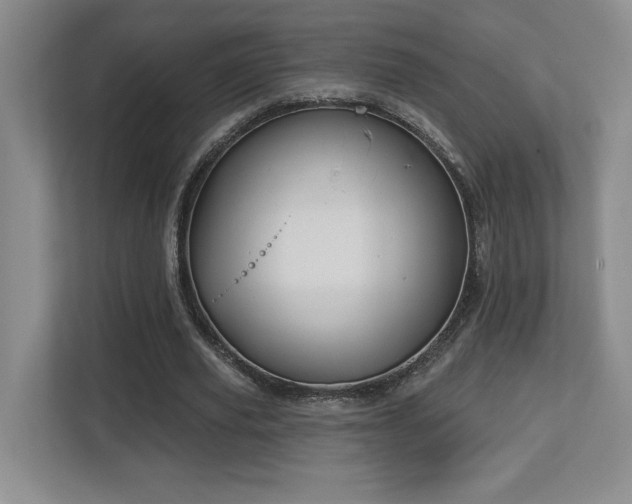 X0000112740629200908201347
