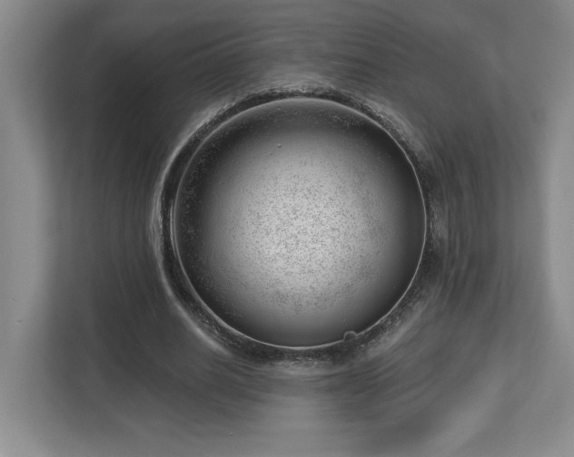 X0000112740630200908201347