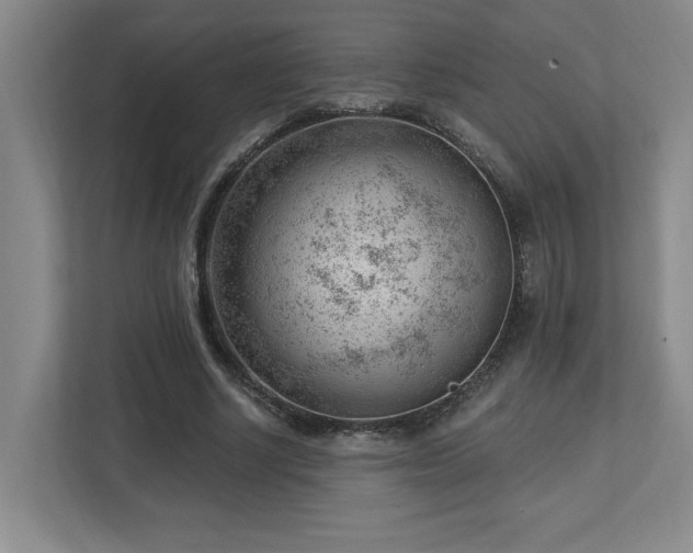 X0000112740634200908201347