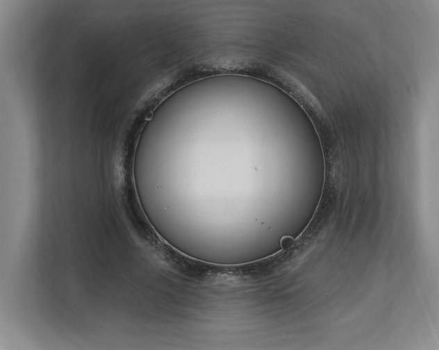X0000112740635200908201347