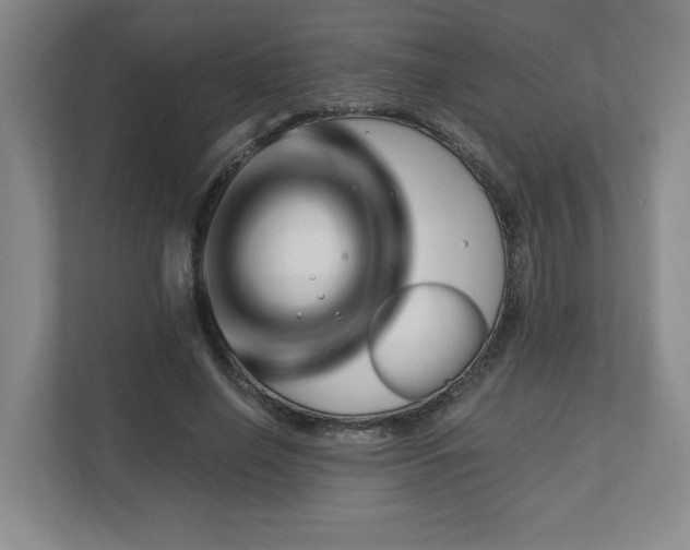 X0000112740638200908201347