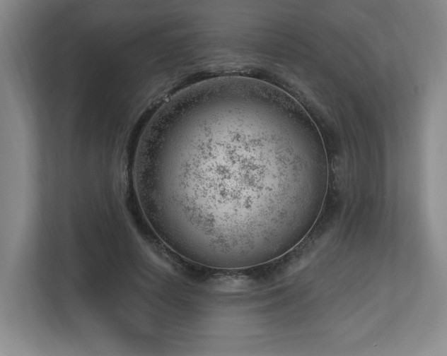 X0000112740642200908201347
