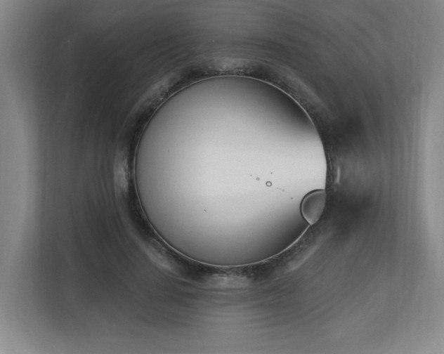 X0000112740644200908201347