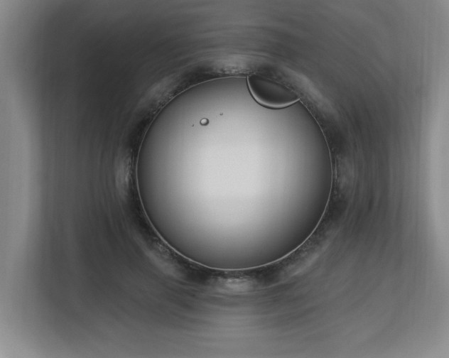 X0000112740645200908201347