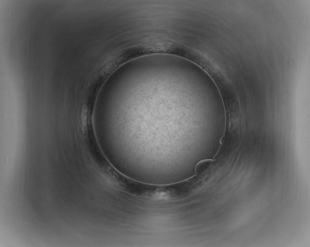 X0000112740647200908201347