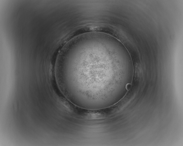 X0000112740650200908201347
