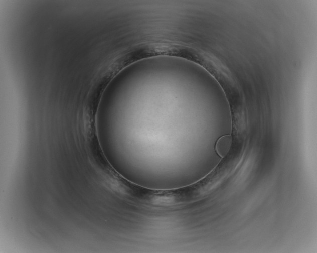 X0000112740653200908201347