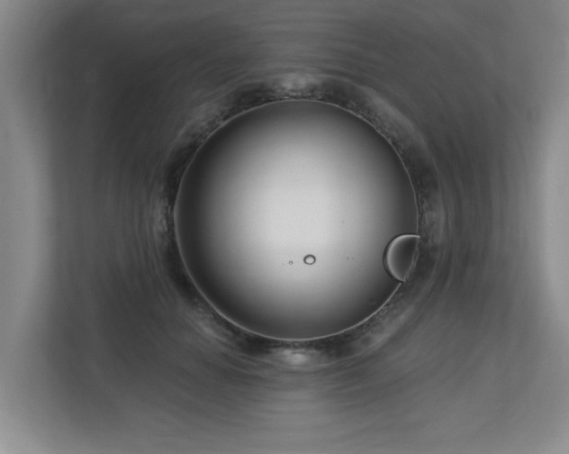 X0000112740654200908201347