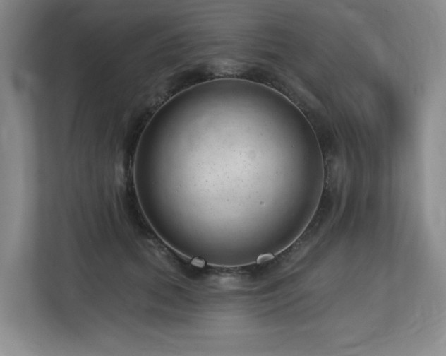 X0000112740655200908201347