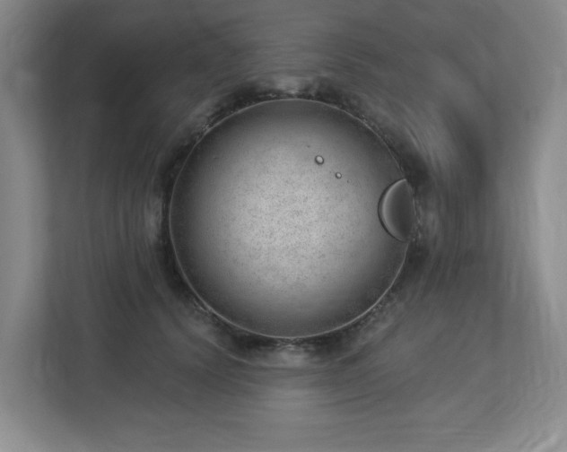 X0000112740656200908201347