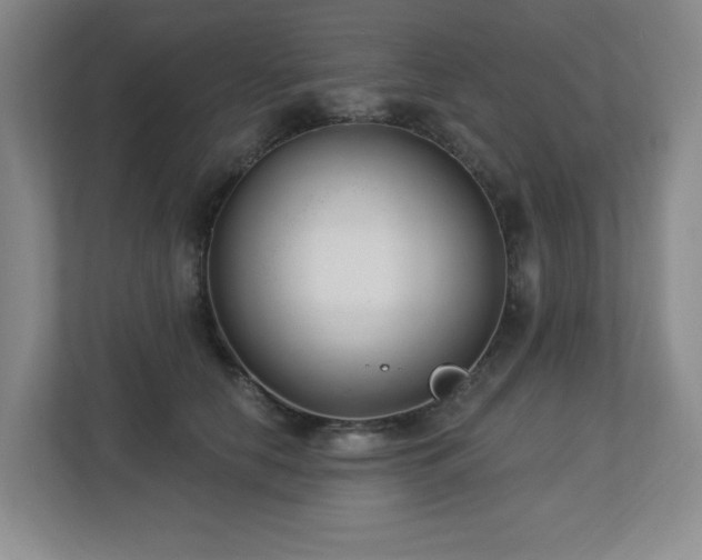 X0000112740658200908201347