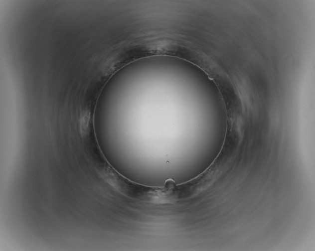 X0000112740660200908201347