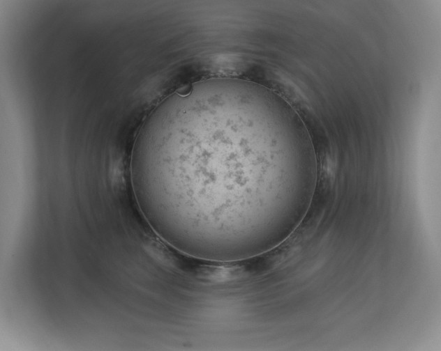 X0000112740663200908201347
