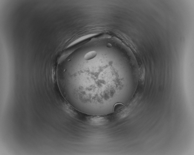 X0000112740669200908201347