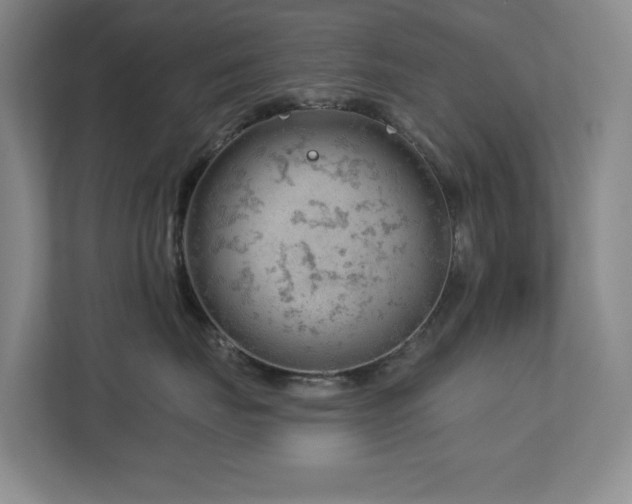 X0000112740671200908201347