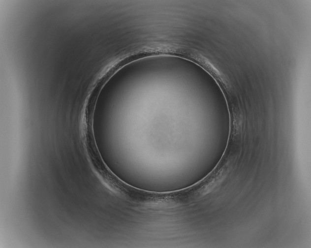 X0000112740674200908201347