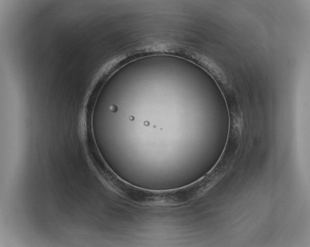 X0000112740678200908201347