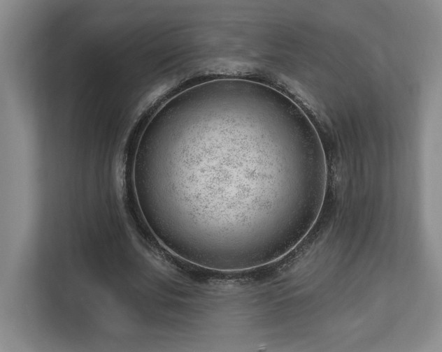 X0000112740679200908201347