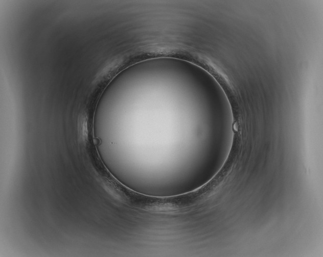 X0000112740685200908201347