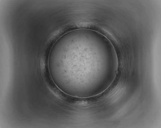 X0000112740687200908201347