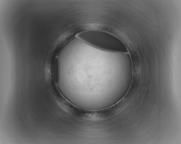 X0000112740688200908201347