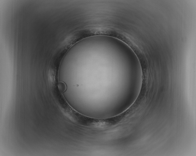 X0000112740695200908201347