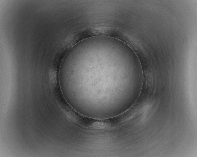 X0000112740699200908201346