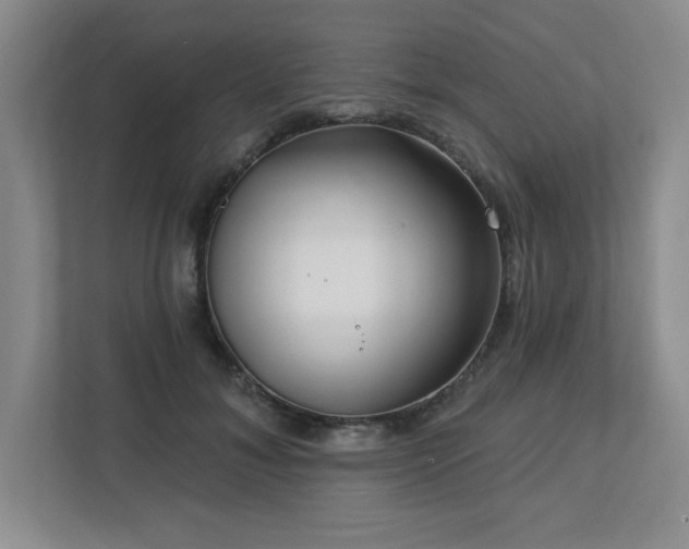 X0000112740700200908201346