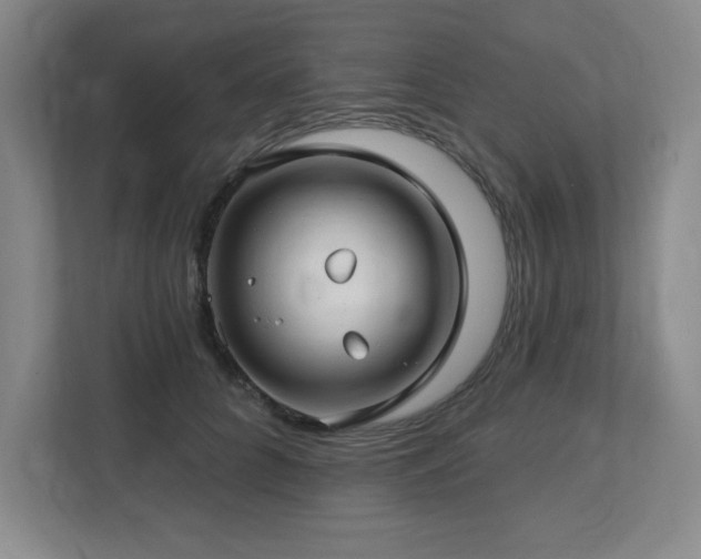 X0000112740704200908201346