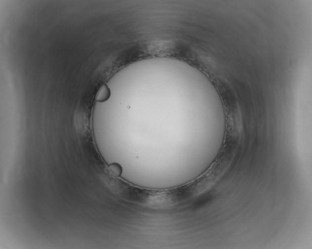 X0000112740705200908201346