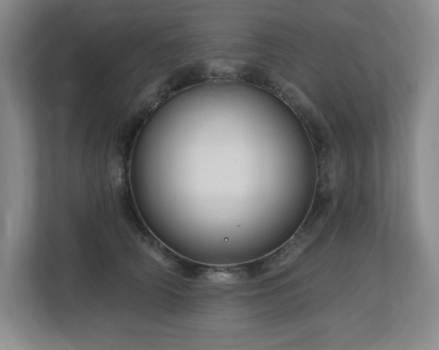 X0000112740706200908201346
