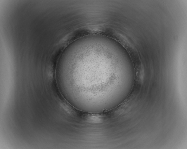 X0000112740710200908201346