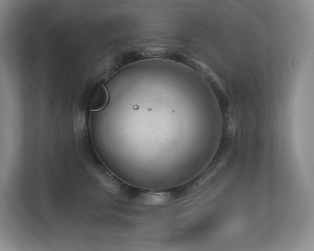 X0000112740711200908201346