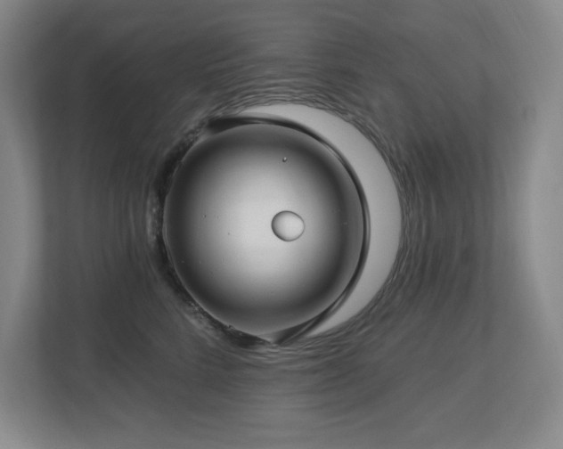 X0000112740712200908201346