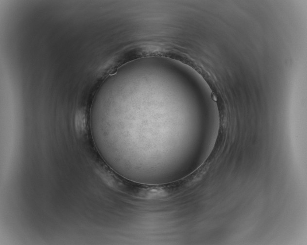 X0000112740715200908201346