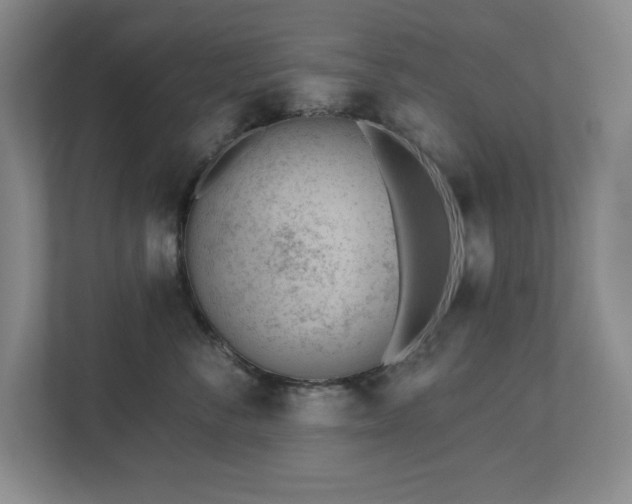 X0000112740716200908201346