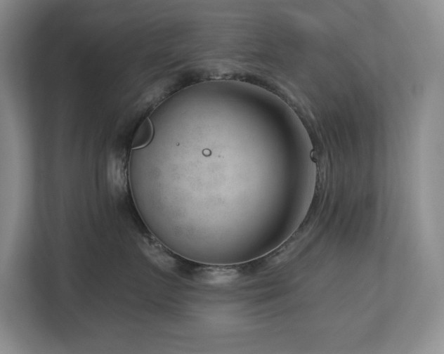 X0000112740719200908201346