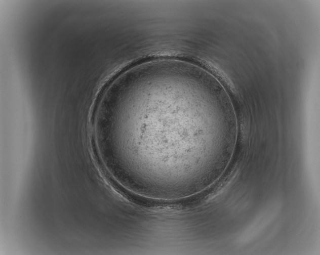 X0000112740721200908201346