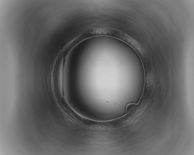X0000112740722200908201346