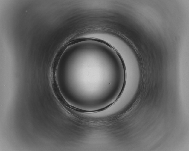 X0000112740725200908201346